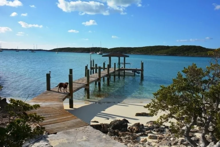 Dock with a dog on the shore at Little Majors Spot, Exuma Cays, Exuma