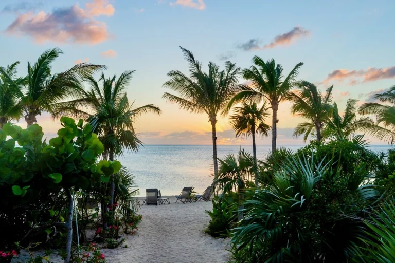 Path through palms to the beach at sunset at Luxumas, Exuma Cays, Exuma
