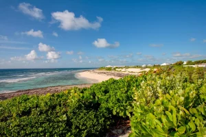 Beach and dunes with ocean view at Ocean View Cottage, Hope Town, Elbow Cay