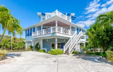 Blue Tang - Abaco - Elboy Cay (1)