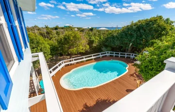 Blue Tang - Abaco - Elboy Cay (12)