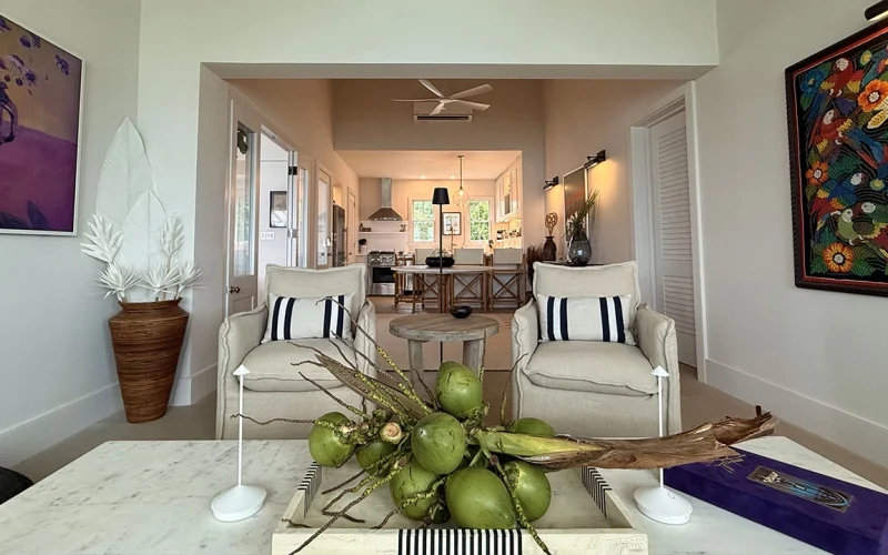 Coconut Shy - Eleuthera (7)