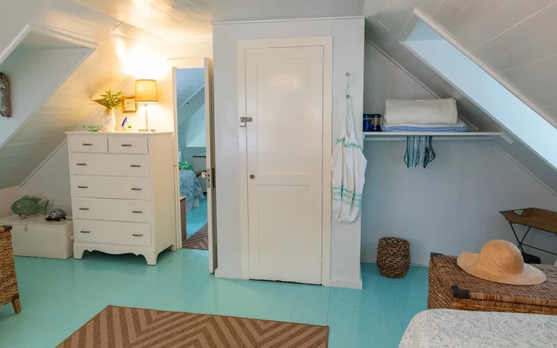Cotton Tree - Eleuthera - Harbour Island (30)