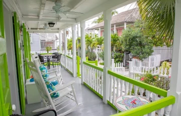 Cotton Tree - Eleuthera - Harbour Island (5)