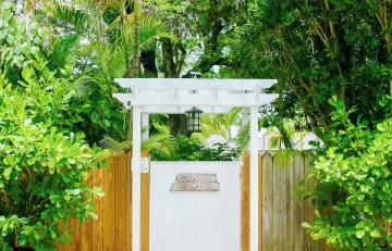 Fig Tree - Eleuthera - Harbour Island (2)