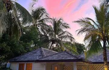 Fig Tree - Eleuthera - Harbour Island (29)