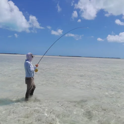 Foster Hill - Bonefishing (18)