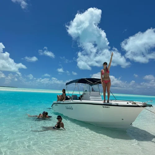 Foster Hill - Guided boat tours (1)