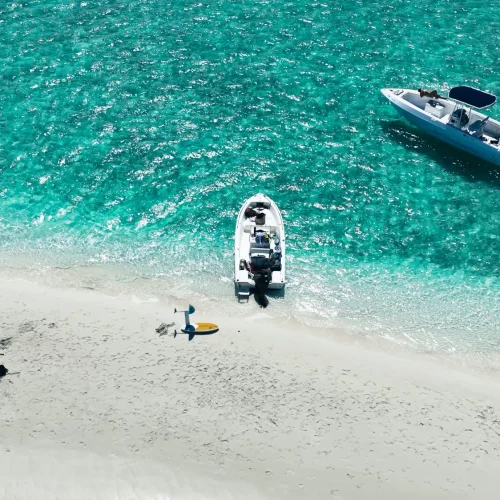 Foster Hill - Guided boat tours (3)