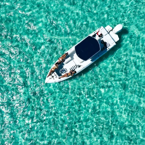 Foster Hill - Guided boat tours (4)