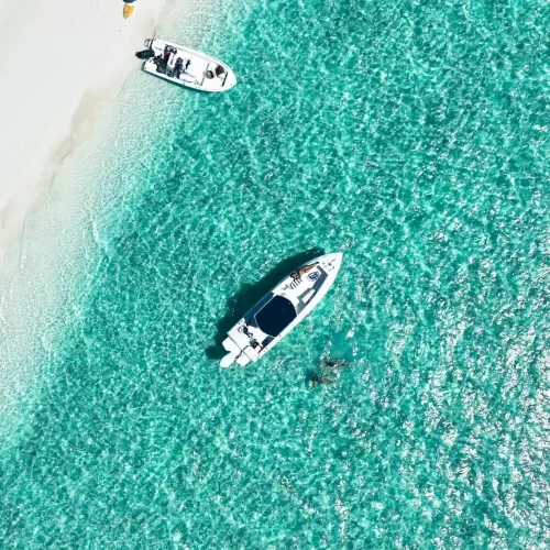 Foster Hill - Guided boat tours (5)