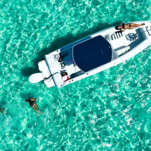 Foster Hill - Guided boat tours (6)