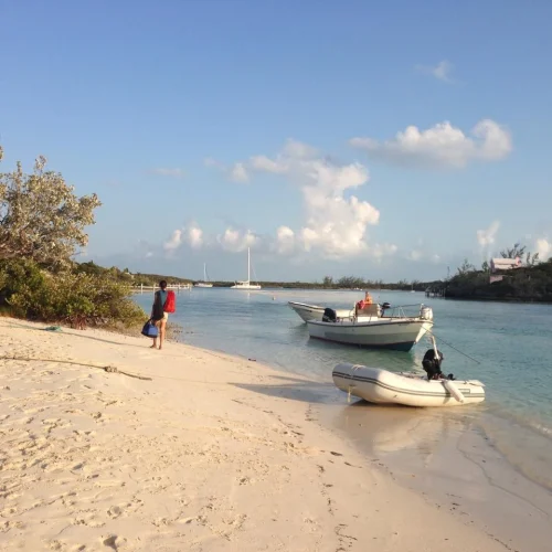 Foster Hill - Guided boat tours (8)