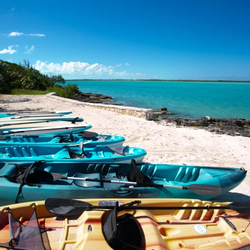 Foster Hill - Kayaking (2)