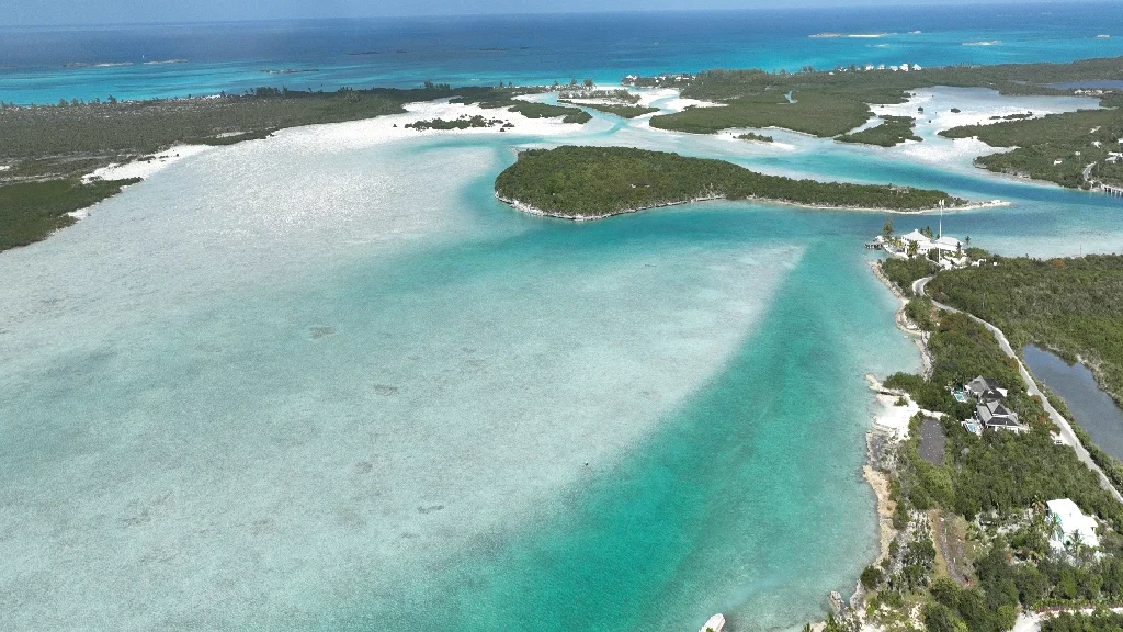 Foster Hill - Natural Sorroundings (2)