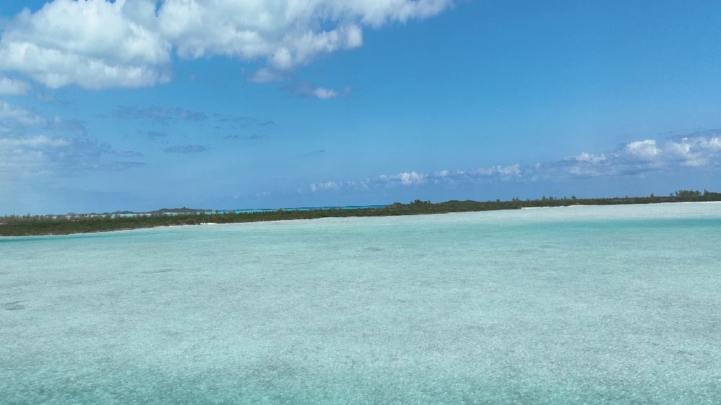 Foster Hill - Natural Sorroundings (6)