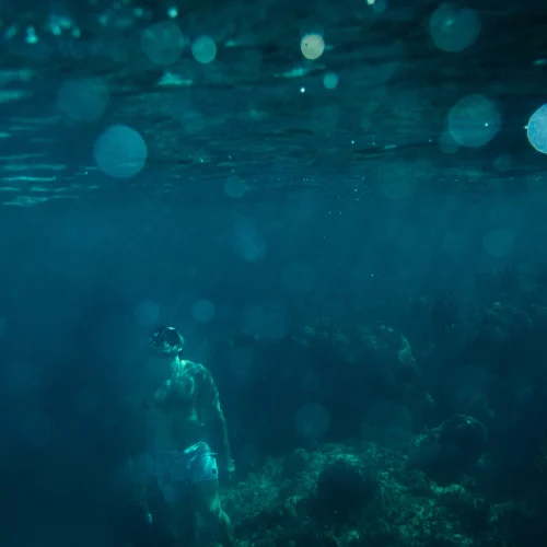 Foster Hill - Snorkeling (1)