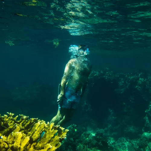 Foster Hill - Snorkeling (4)