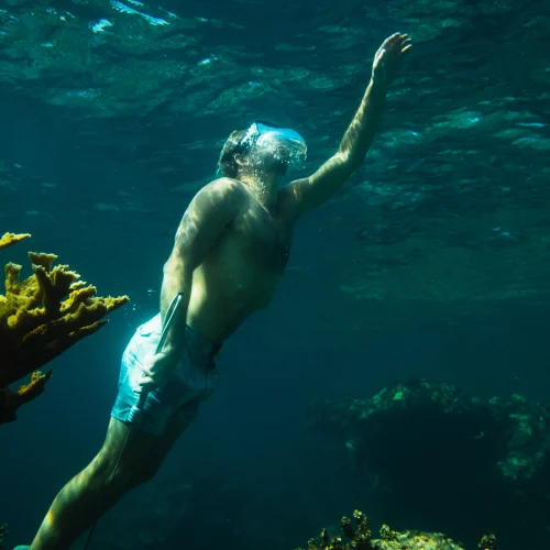 Foster Hill - Snorkeling (5)