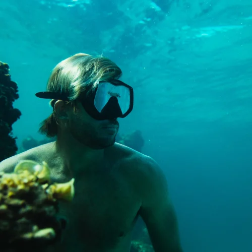 Foster Hill - Snorkeling (6)