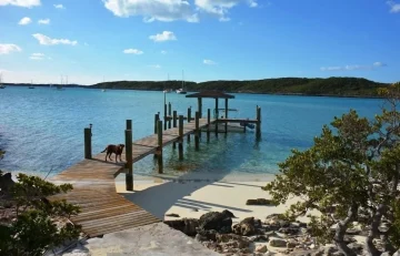 Little Majors Spot - Exuma - Exuma Cays (30)